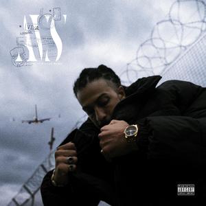 VALUTAZIONE DEL DANNO (AOG)