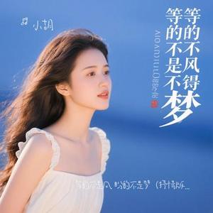 等的不是风 盼的不是梦  (Cover 刘思霏)