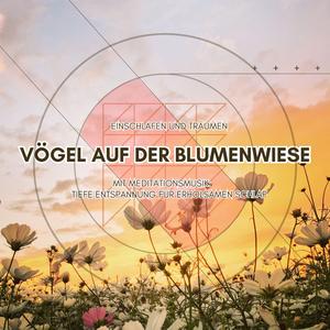 Vogelkonzert im Grünen