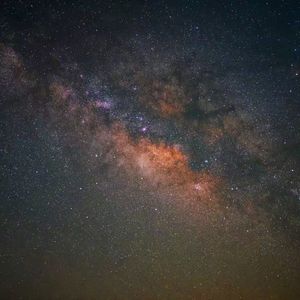 心跳更先认出你