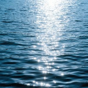 清波荡漾心自惬