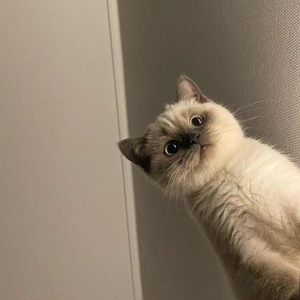 What Matters Most.mp3