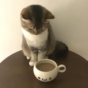 悲伤是件过季风衣