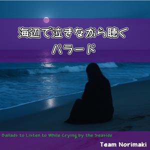 星降る夜の砂浜