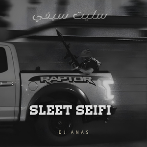Sleet Seifi