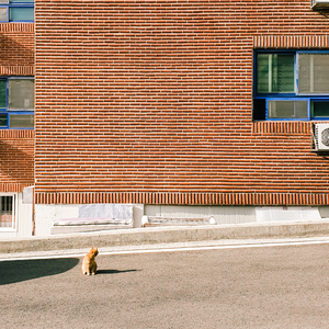 그대는 집이 없어보이네