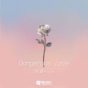 危险的爱