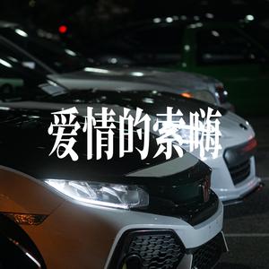 爱情的索嗨 - 男声R&B激昂