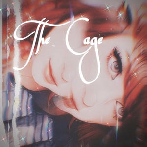 The Cage