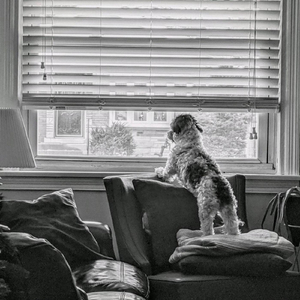 What's the Plan (Reworked)