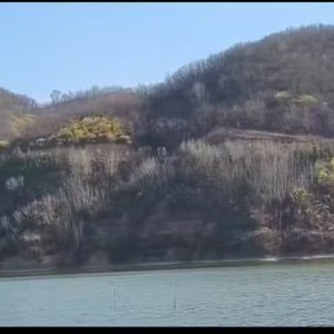 孤单徘徊_126278575454750212_1776568807579.wav