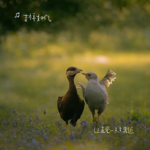 让真爱一点点靠近