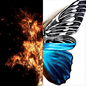 Movements of the Three