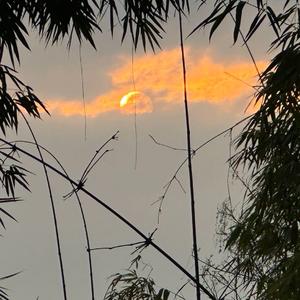 筷子兄弟-老男孩（阿瑞 remix）