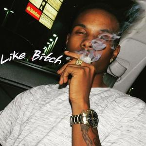 Like Bitch