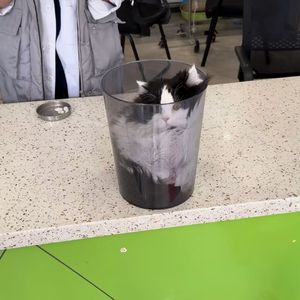 32度的晚风-黄灿灿