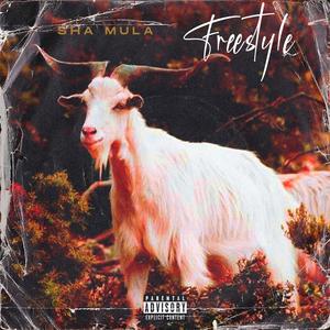Freestyle