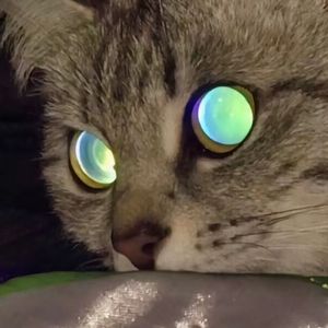 metals的情话（prodby.Nitemare$)