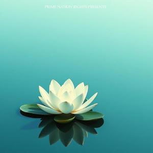 Aura Field Protection Shield