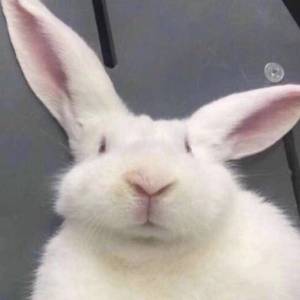 趁早（翻自 张惠妹）