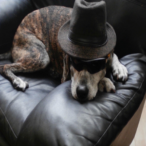 One Way Ticket (feat. Laura Brooke)