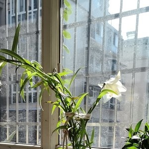 无怨无悔（拼命奔跑吧）—女声