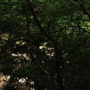 温暖的家 伴奏