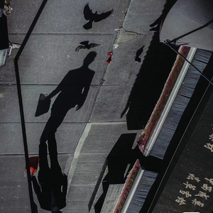 泪蛋蛋掉在酒杯里