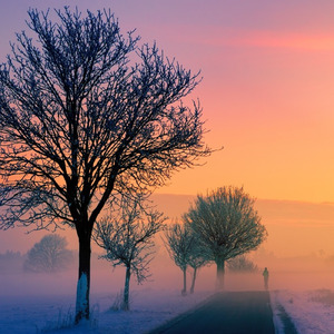 夜明けへと消えていく