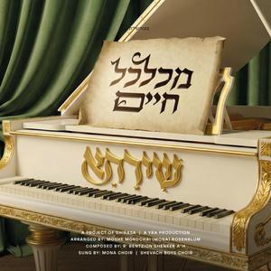 Mechalkel Chaim - מכלכל חיים