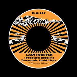 Last Forever (Vocation Riddim) (Dub Cavern & Grasshoper Dub)