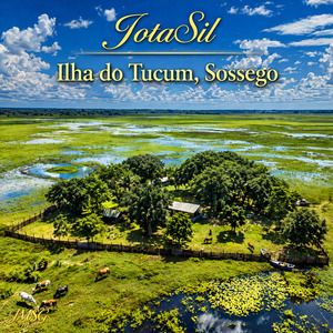 Ilha do Tucum, Sossego