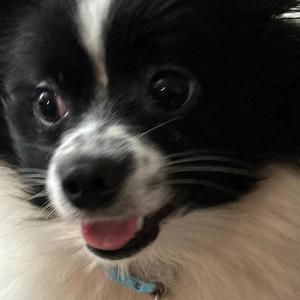 iMessages (AI Remix)