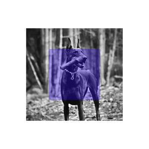 【FREE】“黑狗”Dark boombap type BEAT