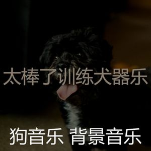 温和小狗梦想