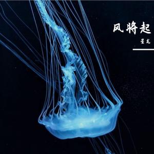 风将起(Live)