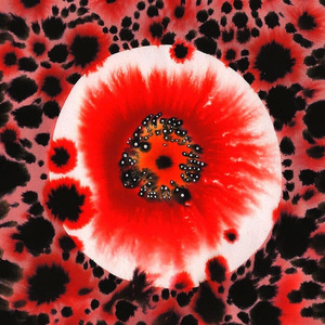 Роллы Африканские