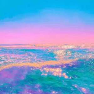 相爱后动物感伤