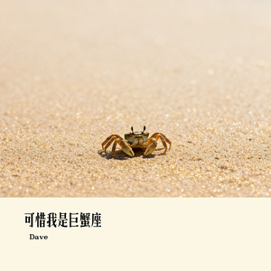 可惜我是巨蟹座