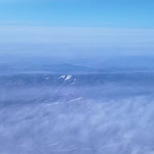 故土思绪的归乡行