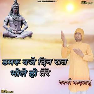 Damru Baje Din Raat Bhole Ho Tere