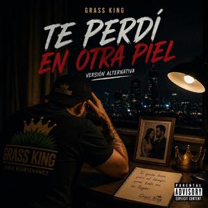 Te Perdí en Otra Piel