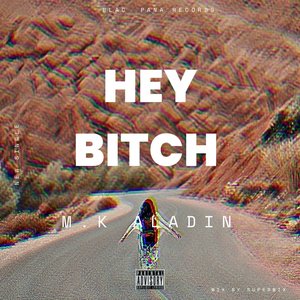 Hey Bitch