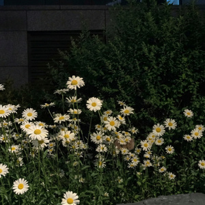 君の名前を呼ばない夜