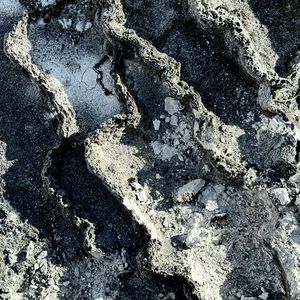 冰箱里冻着未拆的春秋