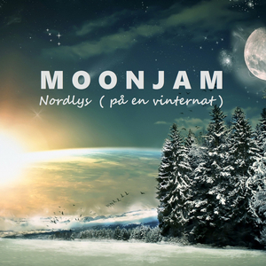 Nordlys (på en vinternat)