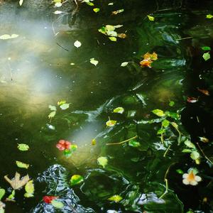 亲爱的，我想做你女朋友