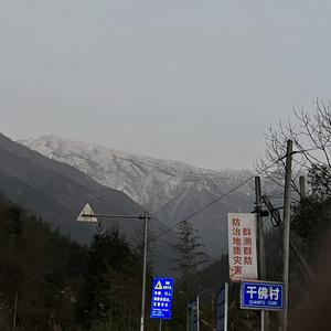 阿飞的小蝴蝶(Live片段)-白敬亭