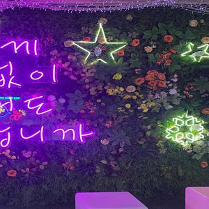 아무도 모르게 다녀간 위로