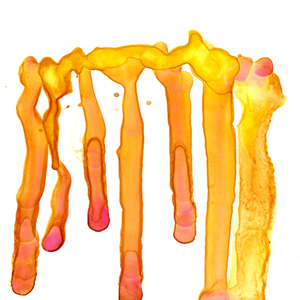 It's Better Not to Care (Watercolor Editions)